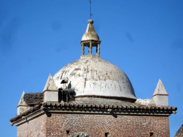 Caceres_Stork Nests